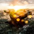 ironman-2012-florianopolis-07.jpg
